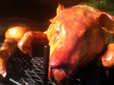 Close of up roasted pig on grill