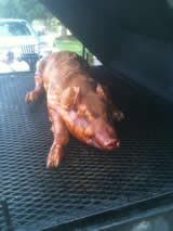 Pig on grill