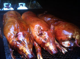 Three pigs on the grill